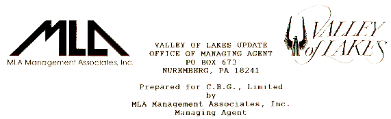 MLA Management Associates Letterhead
